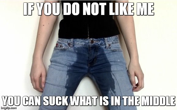 Piss pants | IF YOU DO NOT LIKE ME; YOU CAN SUCK WHAT IS IN THE MIDDLE | image tagged in piss pants | made w/ Imgflip meme maker