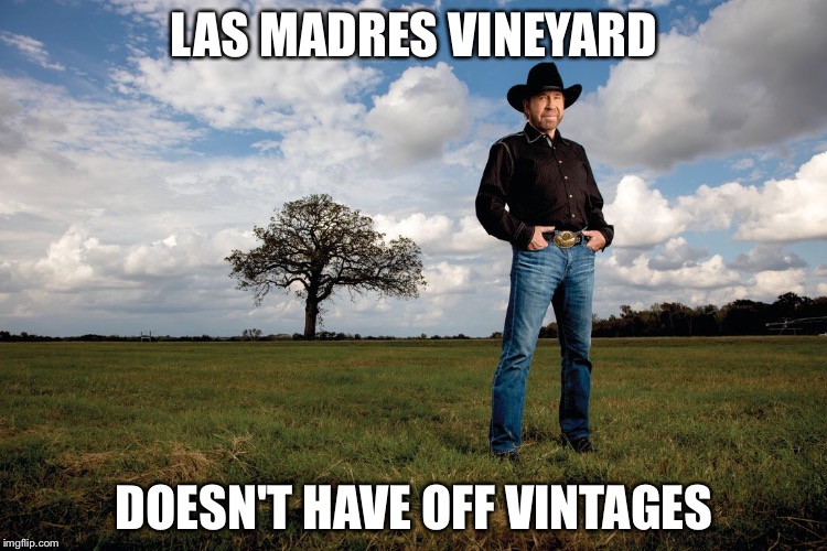 LAS MADRES VINEYARD; DOESN'T HAVE OFF VINTAGES | made w/ Imgflip meme maker
