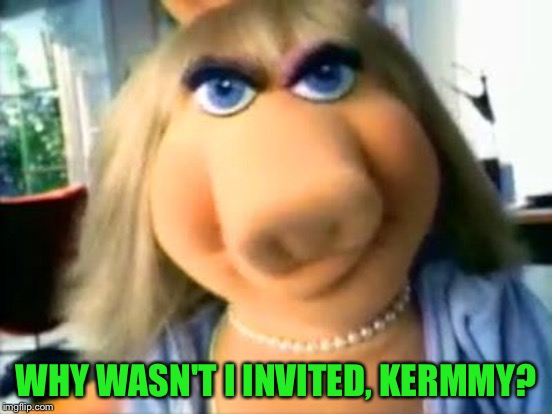 WHY WASN'T I INVITED, KERMMY? | made w/ Imgflip meme maker