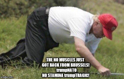 trump has no muscles, just got back from brussels | THE NO MUSCLES JUST GOT BACK FROM BRUSSELS!   trumpNATO NO STAMINA trumpTRAGIC! | image tagged in trumpnato,nato,trumptragic,trump has no stamina,trump just putz,bad foreign policy | made w/ Imgflip meme maker