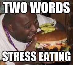 Fat Man Stuffing His Face | TWO WORDS; STRESS EATING | image tagged in fat man stuffing his face | made w/ Imgflip meme maker