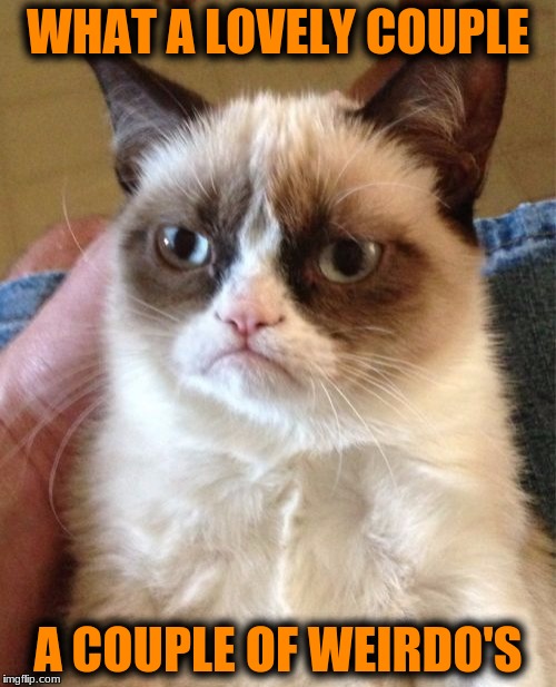 Grumpy Cat Meme | WHAT A LOVELY COUPLE; A COUPLE OF WEIRDO'S | image tagged in memes,grumpy cat | made w/ Imgflip meme maker