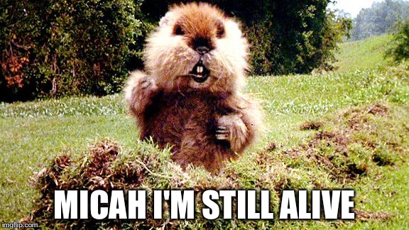 Caddyshack Gopher | MICAH I'M STILL ALIVE | image tagged in caddyshack gopher | made w/ Imgflip meme maker