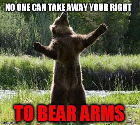 image tagged in bear,funny,puns,animals | made w/ Imgflip meme maker