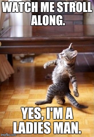 Cool Cat Stroll | WATCH ME STROLL ALONG. YES, I'M A LADIES MAN. | image tagged in memes,cool cat stroll | made w/ Imgflip meme maker
