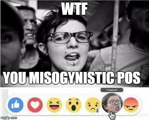 WTF YOU MISOGYNISTIC POS | made w/ Imgflip meme maker