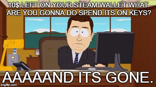 its lit | 10$ LEFT ON YOUR STEAM WALLET WHAT ARE YOU GONNA DO SPEND ITS ON KEYS? AAAAAND ITS GONE. | image tagged in memes,aaaaand its gone | made w/ Imgflip meme maker