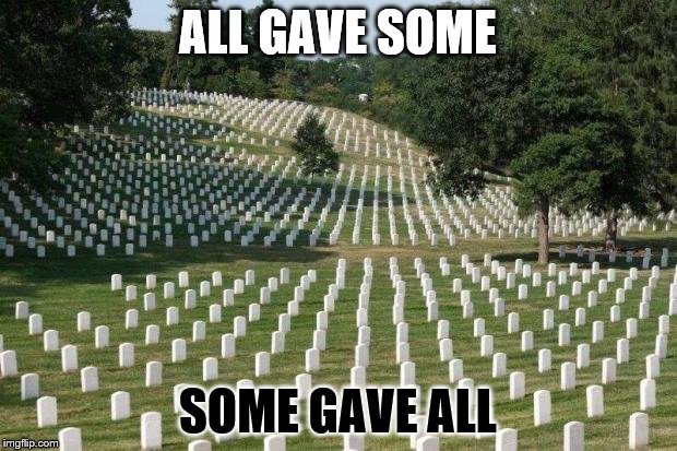 Fallen Soldiers | ALL GAVE SOME; SOME GAVE ALL | image tagged in fallen soldiers | made w/ Imgflip meme maker