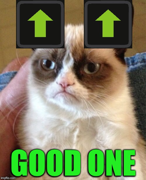 Grumpy Cat Meme | GOOD ONE | image tagged in memes,grumpy cat | made w/ Imgflip meme maker