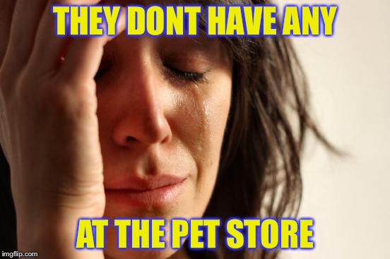 First World Problems Meme | THEY DONT HAVE ANY AT THE PET STORE | image tagged in memes,first world problems | made w/ Imgflip meme maker