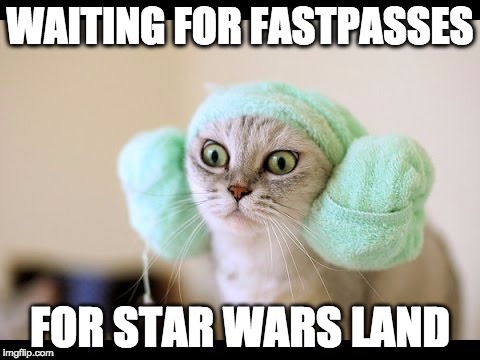 WAITING FOR FASTPASSES; FOR STAR WARS LAND | image tagged in star wars land wait times | made w/ Imgflip meme maker