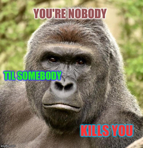 Har | YOU'RE NOBODY KILLS YOU TIL SOMEBODY | image tagged in har | made w/ Imgflip meme maker