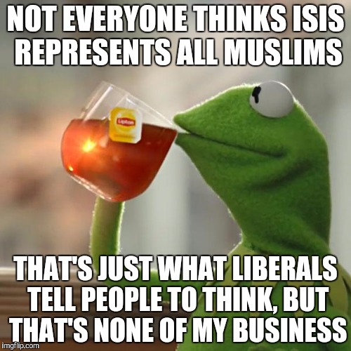 But That's None Of My Business Meme | NOT EVERYONE THINKS ISIS REPRESENTS ALL MUSLIMS THAT'S JUST WHAT LIBERALS TELL PEOPLE TO THINK, BUT THAT'S NONE OF MY BUSINESS | image tagged in memes,but thats none of my business,kermit the frog | made w/ Imgflip meme maker