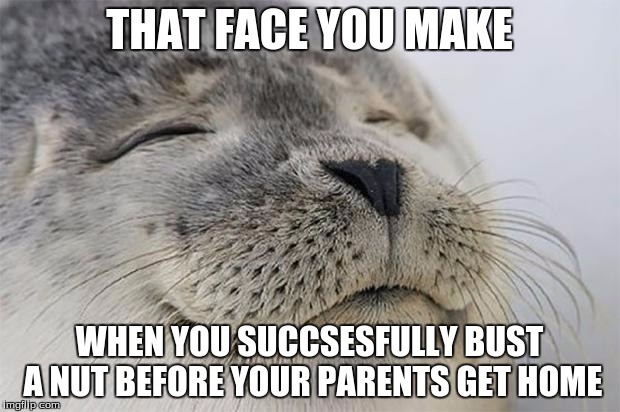 Satisfied Seal | THAT FACE YOU MAKE; WHEN YOU SUCCSESFULLY BUST A NUT BEFORE YOUR PARENTS GET HOME | image tagged in memes,satisfied seal | made w/ Imgflip meme maker