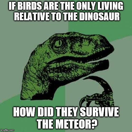 Philosiraptor meme | IF BIRDS ARE THE ONLY LIVING RELATIVE TO THE DINOSAUR; HOW DID THEY SURVIVE THE METEOR? | image tagged in philosiraptor meme | made w/ Imgflip meme maker