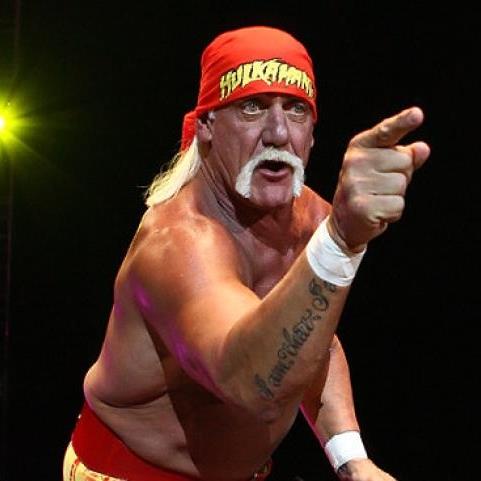 High Quality Hulk hogan Blank Meme Template