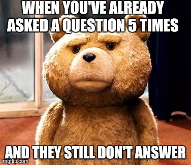 TED Meme | WHEN YOU'VE ALREADY ASKED A QUESTION 5 TIMES; AND THEY STILL DON'T ANSWER | image tagged in memes,ted | made w/ Imgflip meme maker