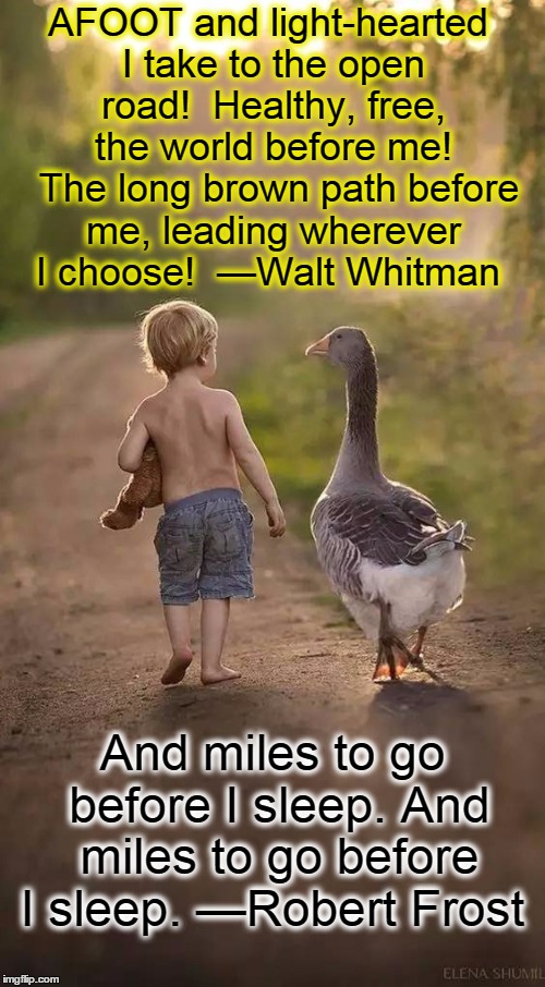 The Road Less Taken | AFOOT and light-hearted I take to the open road!  Healthy, free, the world before me!  The long brown path before me, leading wherever I choose!  —Walt Whitman; And miles to go before I sleep. And miles to go before I sleep. —Robert Frost | image tagged in vince vance,robert frost,walt whitman,leaves of grass,a boy and a goose | made w/ Imgflip meme maker