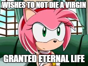 Unamused Amy Rose | WISHES TO NOT DIE A VIRGIN; GRANTED ETERNAL LIFE | image tagged in unamused amy rose | made w/ Imgflip meme maker