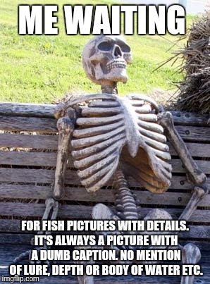 Waiting Skeleton Meme | ME WAITING; FOR FISH PICTURES WITH DETAILS. IT'S ALWAYS A PICTURE WITH A DUMB CAPTION. NO MENTION OF LURE, DEPTH OR BODY OF WATER ETC. | image tagged in memes,waiting skeleton,fishing | made w/ Imgflip meme maker