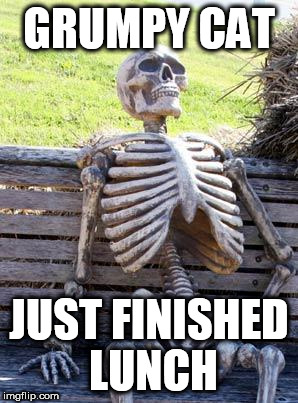 Waiting Skeleton Meme | GRUMPY CAT JUST FINISHED LUNCH | image tagged in memes,waiting skeleton | made w/ Imgflip meme maker