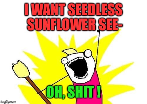 X All The Y Meme | I WANT SEEDLESS SUNFLOWER SEE- OH, SHIT ! | image tagged in memes,x all the y | made w/ Imgflip meme maker
