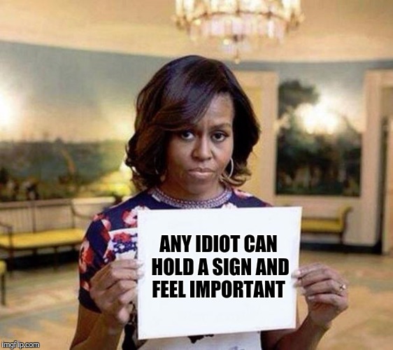 Michelle Obama blank sheet |  ANY IDIOT CAN HOLD A SIGN AND FEEL IMPORTANT | image tagged in michelle obama blank sheet,memes | made w/ Imgflip meme maker