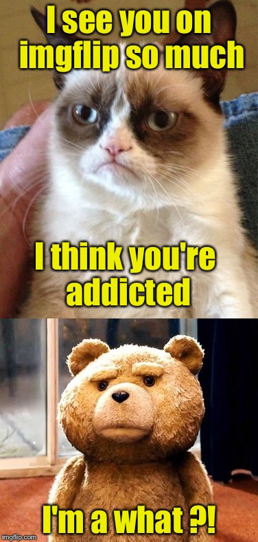 You're Addict, Ted | I see you on imgflip so much; I think you're addicted; I'm a what ?! | image tagged in addiction,ted | made w/ Imgflip meme maker