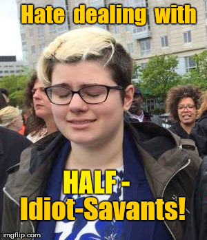Half-Idiot-Savants | Hate  dealing  with; HALF -; Idiot-Savants! | image tagged in seriously face,are you kidding me | made w/ Imgflip meme maker