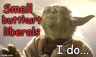Yoda smells butthurt liberals | Smell; butthurt; liberals; I do... | image tagged in yoda,butthurt,liberals | made w/ Imgflip meme maker