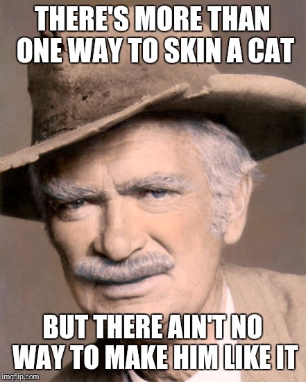 Some words from Uncle Jed | THERE'S MORE THAN ONE WAY TO SKIN A CAT; BUT THERE AIN'T NO WAY TO MAKE HIM LIKE IT | image tagged in jed clampett doggy,memes | made w/ Imgflip meme maker