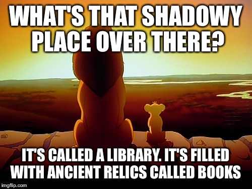 Lion King Meme | WHAT'S THAT SHADOWY PLACE OVER THERE? IT'S CALLED A LIBRARY. IT'S FILLED WITH ANCIENT RELICS CALLED BOOKS | image tagged in memes,lion king | made w/ Imgflip meme maker