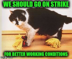 WE SHOULD GO ON STRIKE FOR BETTER WORKING CONDITIONS | made w/ Imgflip meme maker