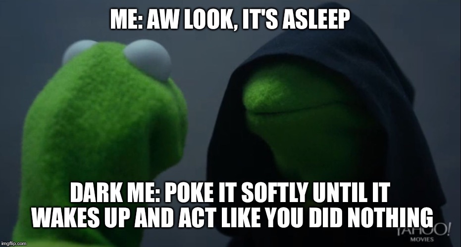 Kermit to Dark Kermit | ME: AW LOOK, IT'S ASLEEP; DARK ME: POKE IT SOFTLY UNTIL IT WAKES UP AND ACT LIKE YOU DID NOTHING | image tagged in kermit to dark kermit | made w/ Imgflip meme maker