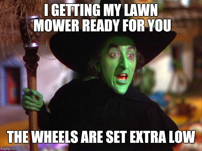 Memes | I GETTING MY LAWN MOWER READY FOR YOU THE WHEELS ARE SET EXTRA LOW | image tagged in memes | made w/ Imgflip meme maker