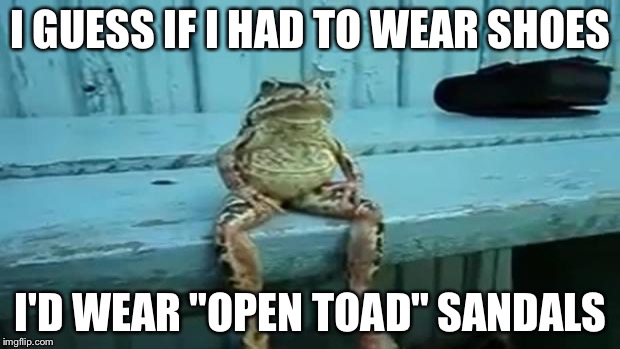 toad | I GUESS IF I HAD TO WEAR SHOES; I'D WEAR "OPEN TOAD" SANDALS | image tagged in toad | made w/ Imgflip meme maker