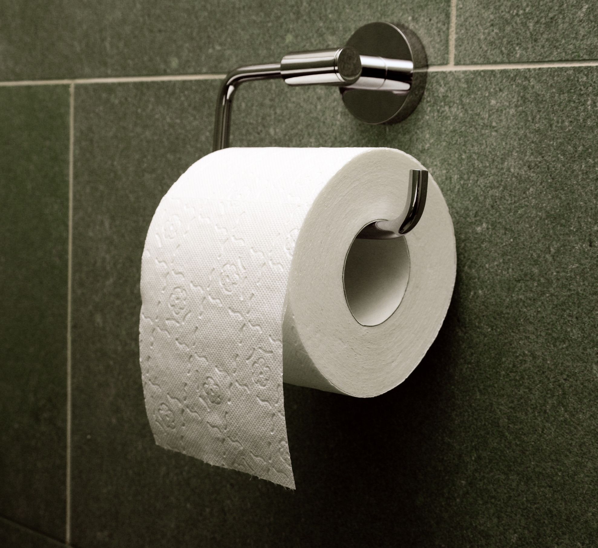 Toilet paper roll Blank Meme Template