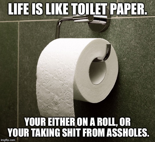 Life is like toilet paper | LIFE IS LIKE TOILET PAPER. YOUR EITHER ON A ROLL, OR YOUR TAKING SHIT FROM ASSHOLES. | image tagged in toilet paper roll | made w/ Imgflip meme maker