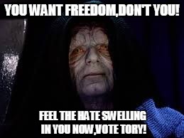 Palpatine | YOU WANT FREEDOM,DON'T YOU! FEEL THE HATE SWELLING IN YOU NOW,VOTE TORY! | image tagged in palpatine | made w/ Imgflip meme maker