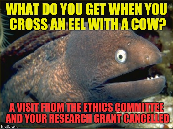 WHAT DO YOU GET WHEN YOU CROSS AN EEL WITH A COW? A VISIT FROM THE ETHICS COMMITTEE AND YOUR RESEARCH GRANT CANCELLED | made w/ Imgflip meme maker