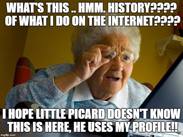 Grandma Finds The Internet Meme | WHAT'S THIS .. HMM. HISTORY???? OF WHAT I DO ON THE INTERNET???? I HOPE LITTLE PICARD DOESN'T KNOW THIS IS HERE, HE USES MY PROFILE!! | image tagged in memes,grandma finds the internet | made w/ Imgflip meme maker