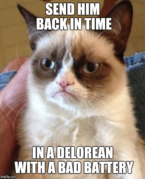 Grumpy Cat Meme | SEND HIM BACK IN TIME IN A DELOREAN WITH A BAD BATTERY | image tagged in memes,grumpy cat | made w/ Imgflip meme maker