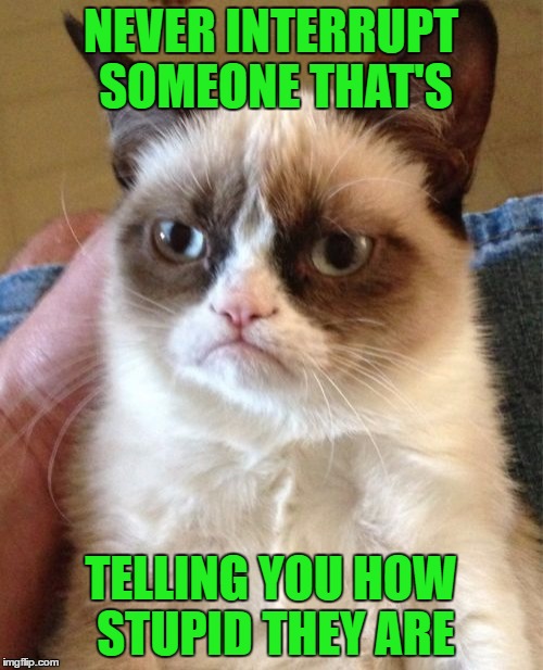 Grumpy Cat Meme | NEVER INTERRUPT SOMEONE THAT'S TELLING YOU HOW STUPID THEY ARE | image tagged in memes,grumpy cat | made w/ Imgflip meme maker