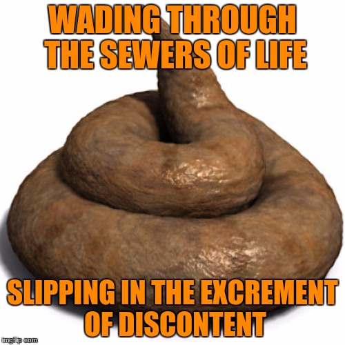 turd | WADING THROUGH THE SEWERS OF LIFE; SLIPPING IN THE EXCREMENT OF DISCONTENT | image tagged in turd | made w/ Imgflip meme maker