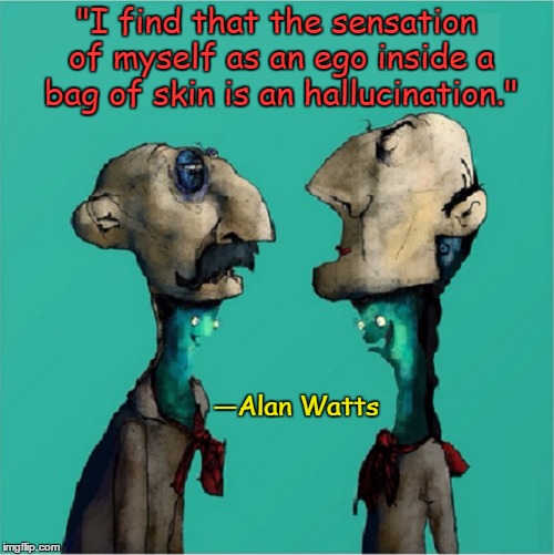 Is the Ego Self-Esteem or Self-Importance? | "I find that the sensation of myself as an ego inside a bag of skin is an hallucination."; —Alan Watts | image tagged in vince vance,alan watts,ego,bag of skin | made w/ Imgflip meme maker