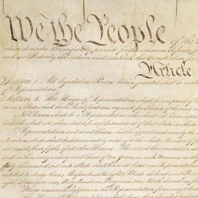 High Quality Constitution  Blank Meme Template