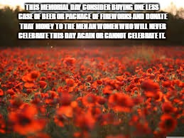 THIS MEMORIAL DAY CONSIDER BUYING ONE LESS CASE OF BEER OR PACKAGE OF FIREWORKS AND DONATE THAT MONEY TO THE MEN AN WOMEN WHO WILL NEVER CELEBRATE THIS DAY AGAIN OR CANNOT CELEBRATE IT. | image tagged in field of poppies | made w/ Imgflip meme maker