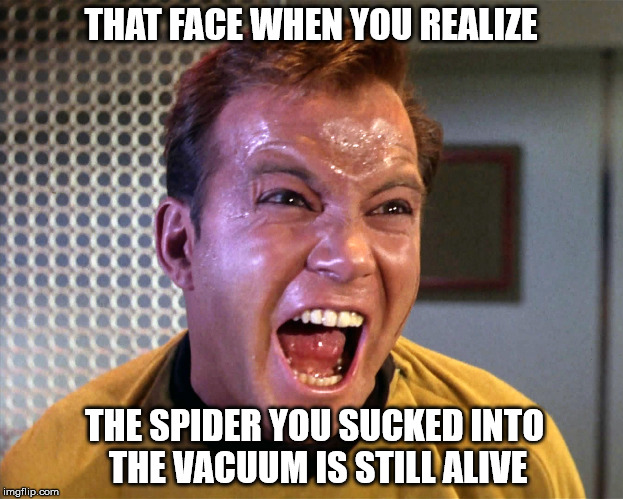 It's alive! | THAT FACE WHEN YOU REALIZE; THE SPIDER YOU SUCKED INTO THE VACUUM IS STILL ALIVE | image tagged in star trek,spider,vacuum,captain kirk,kirk,tfw | made w/ Imgflip meme maker
