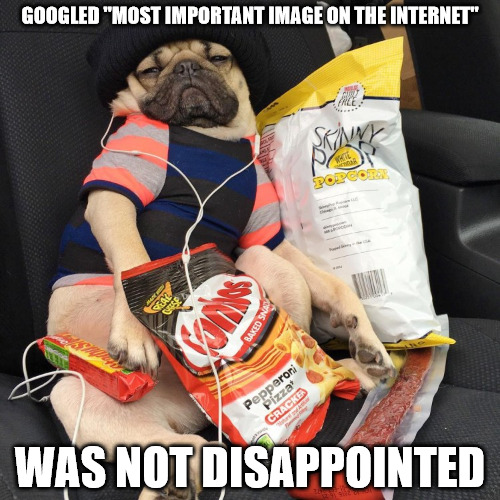 That moment when Google actually does its job right | GOOGLED "MOST IMPORTANT IMAGE ON THE INTERNET"; WAS NOT DISAPPOINTED | image tagged in google,memes,google images,internet,important image | made w/ Imgflip meme maker