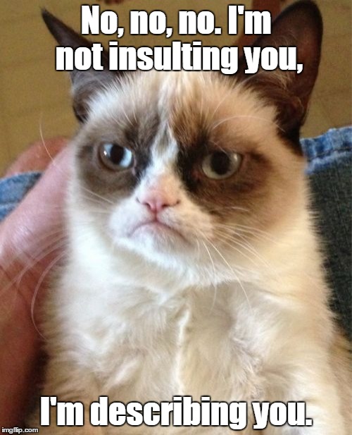 Grumpy Cat Meme | No, no, no. I'm not insulting you, I'm describing you. | image tagged in memes,grumpy cat | made w/ Imgflip meme maker
